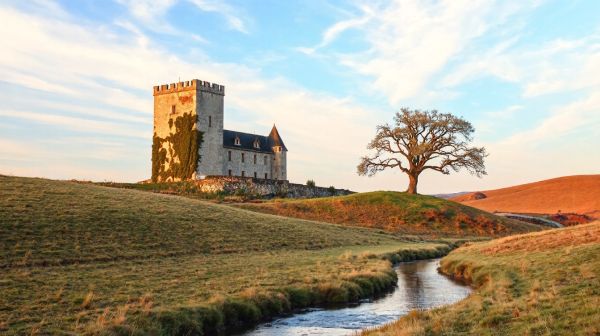 Choisir un paysageur à Castelsarrasin : critères de qualité